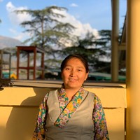 Tibetan teacher tenzin yangkyi