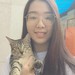 Linh