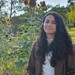 Karine