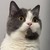 الطالب wang wei